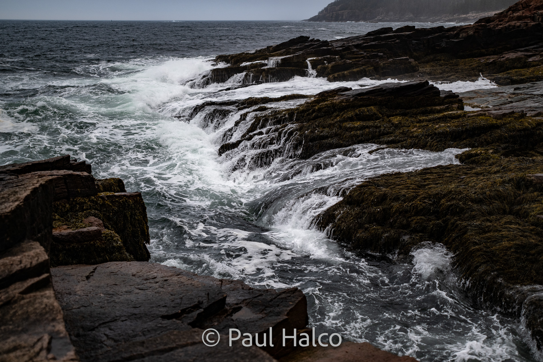 Paul Halco-Acadia NP-26